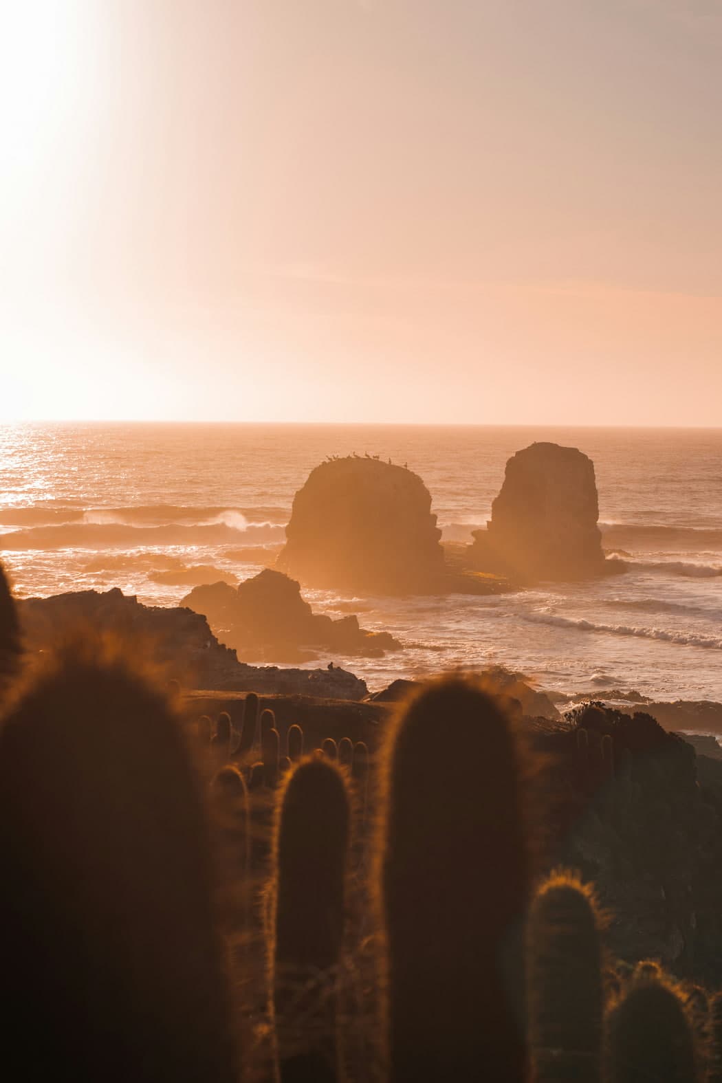 Cabañas verificadas en Pichilemu - Foto por Cristian Castillo - CabañaOK.cl