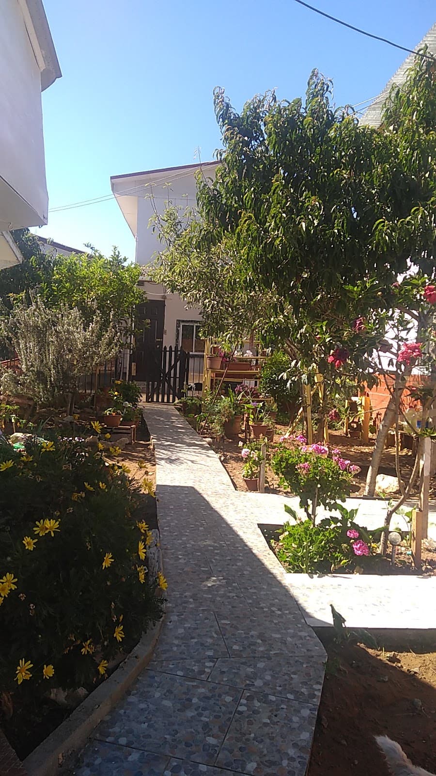 Cabaña Cabañas Miralmar en Los Vilos, Comuna de Los Vilos, Región De Coquimbo, Chile - Foto 1