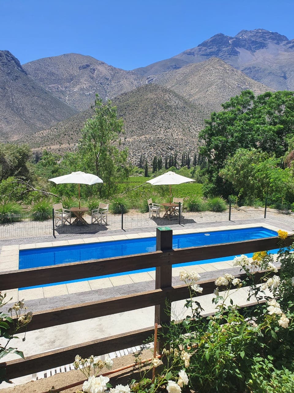 Cabañas Cordillera Azul Tulahuén