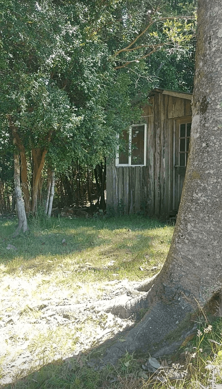 Cabaña Cabañas Caviahue Chiloé en Queilén, Comuna de Queilén, Región De Los Lagos, Chile - Foto 1