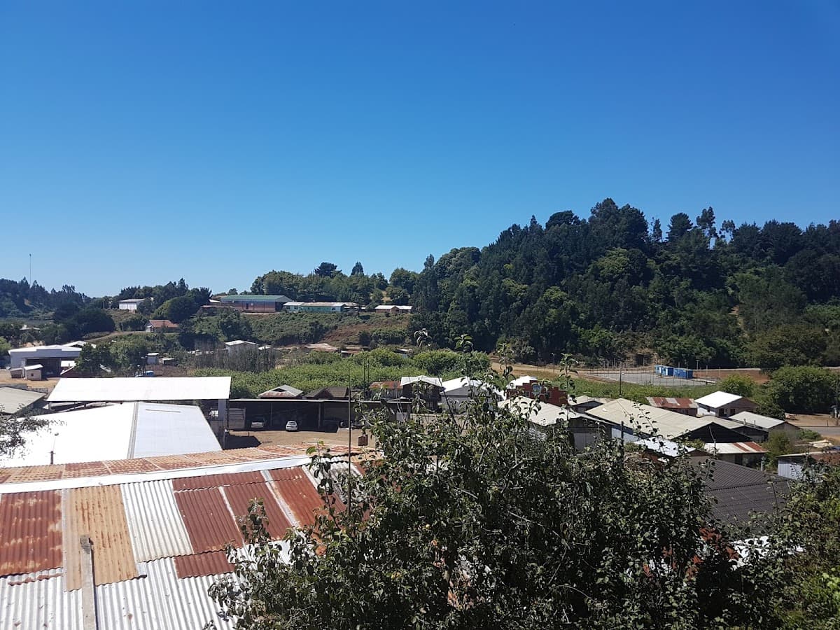 Cabaña Cabañas Folil Mapu en Lago Budi, Comuna de Saavedra, Región De La Araucanía, Chile - Foto 1
