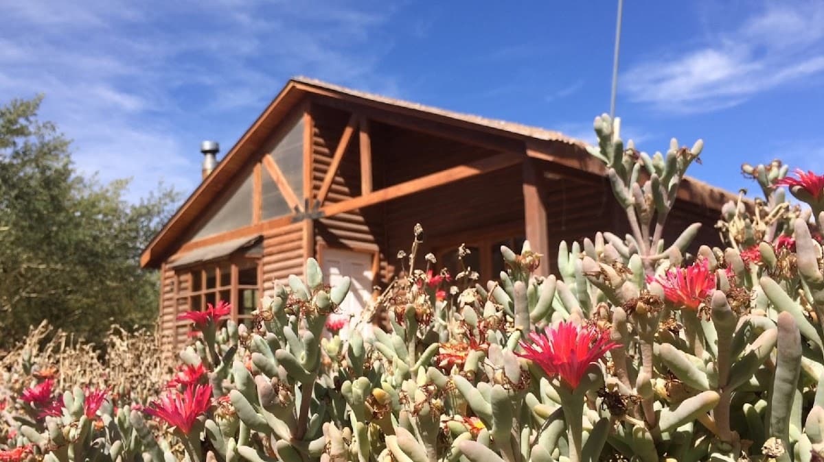 Cabañas Doña Juanita